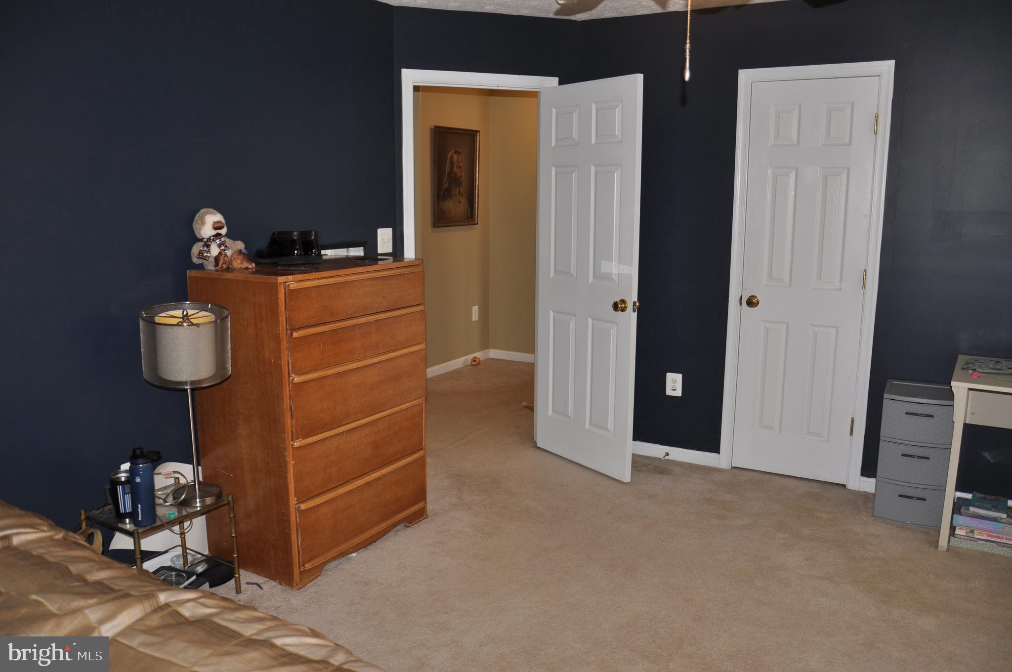 10621 Gallant Fox Way Ruther Glen, VA 22546 - Photo 41 of 65 a room with furniture and a potted plant