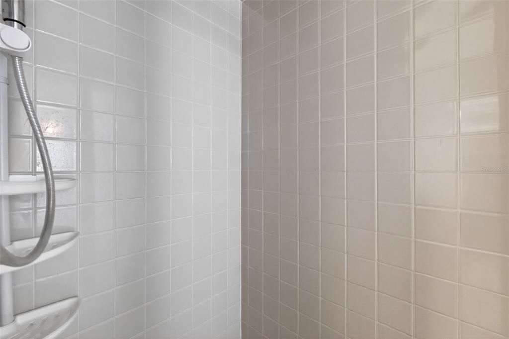 9398 Southeast 174th Loop Summerfield, FL 34491 - Photo 19 of 29 a bathroom with a shower