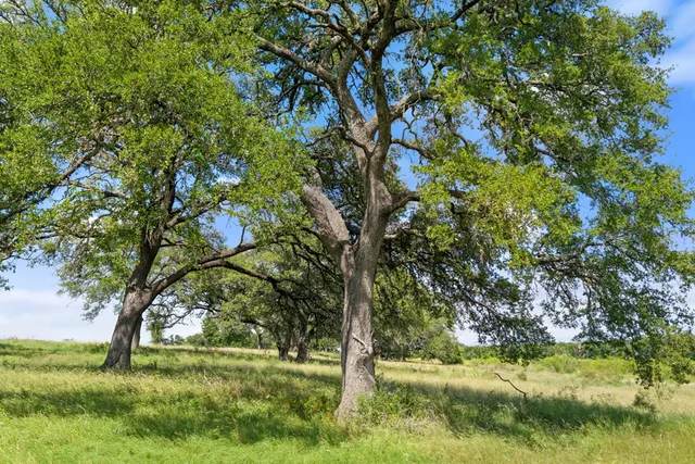 $2,995,000 | 444-742 Klein Road, Stonewall, TX 78671