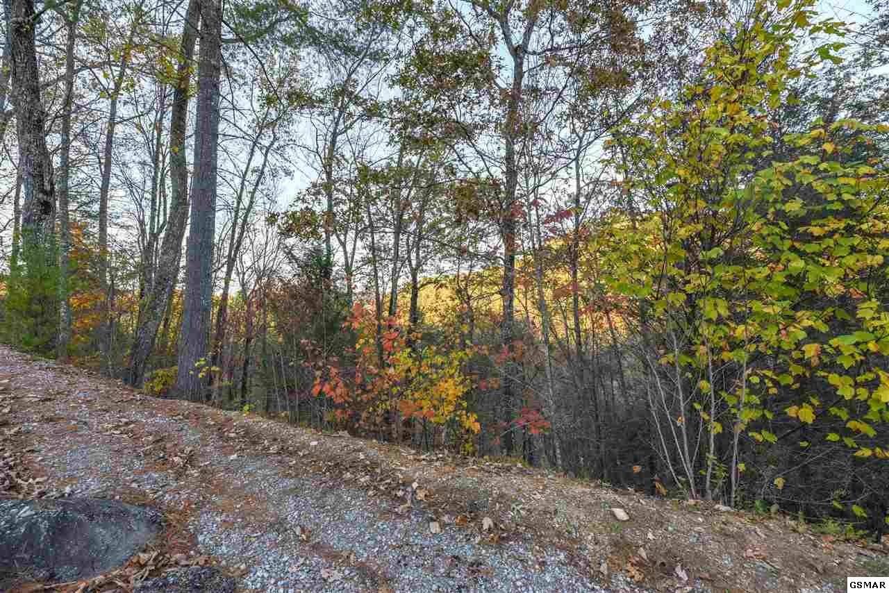 65 Whetstone Road Sevierville, TN 37862 - Photo 9 of 13