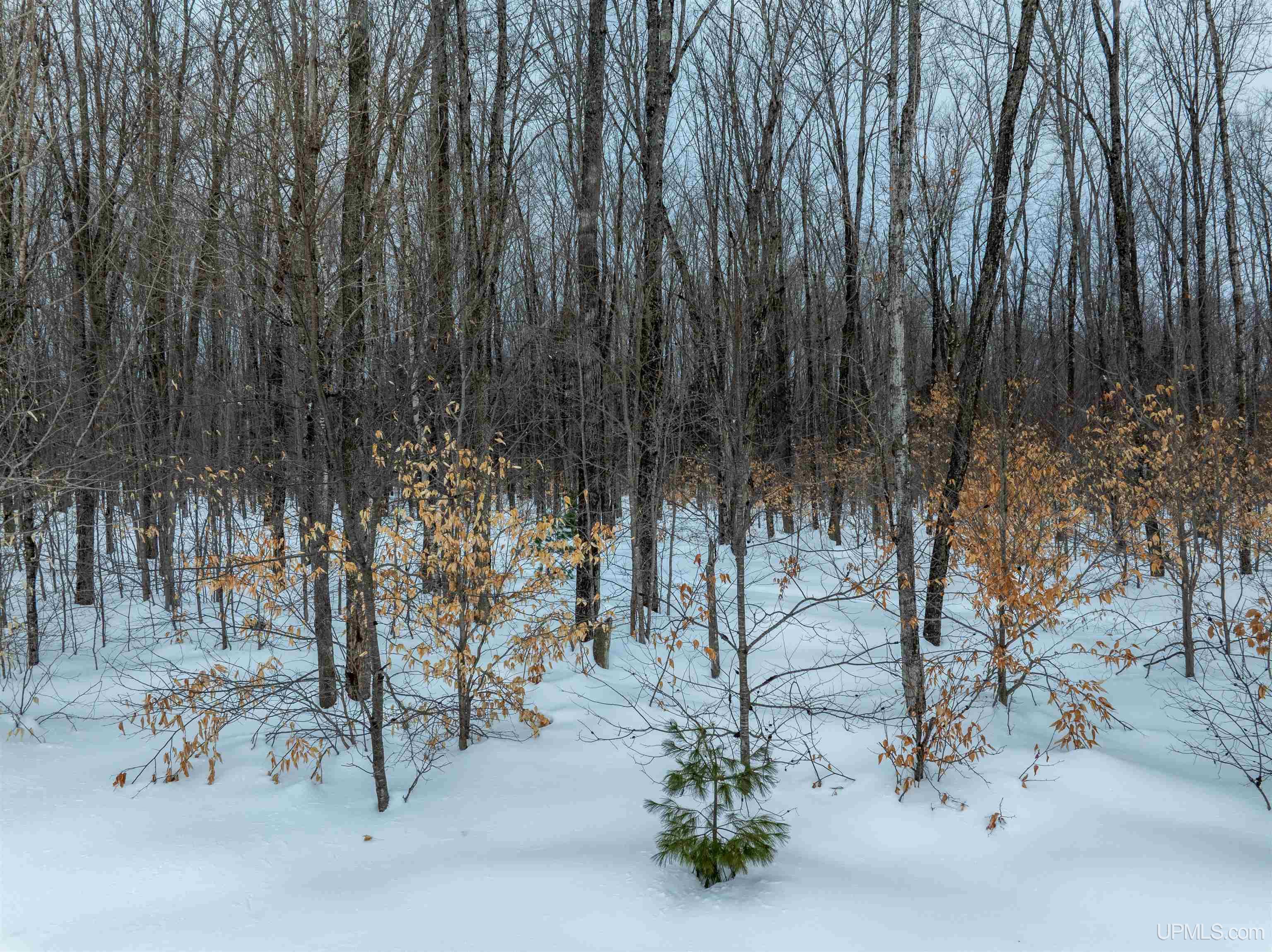 N290 North Round Lake Road Wetmore, MI 49895 - Photo 38 of 50