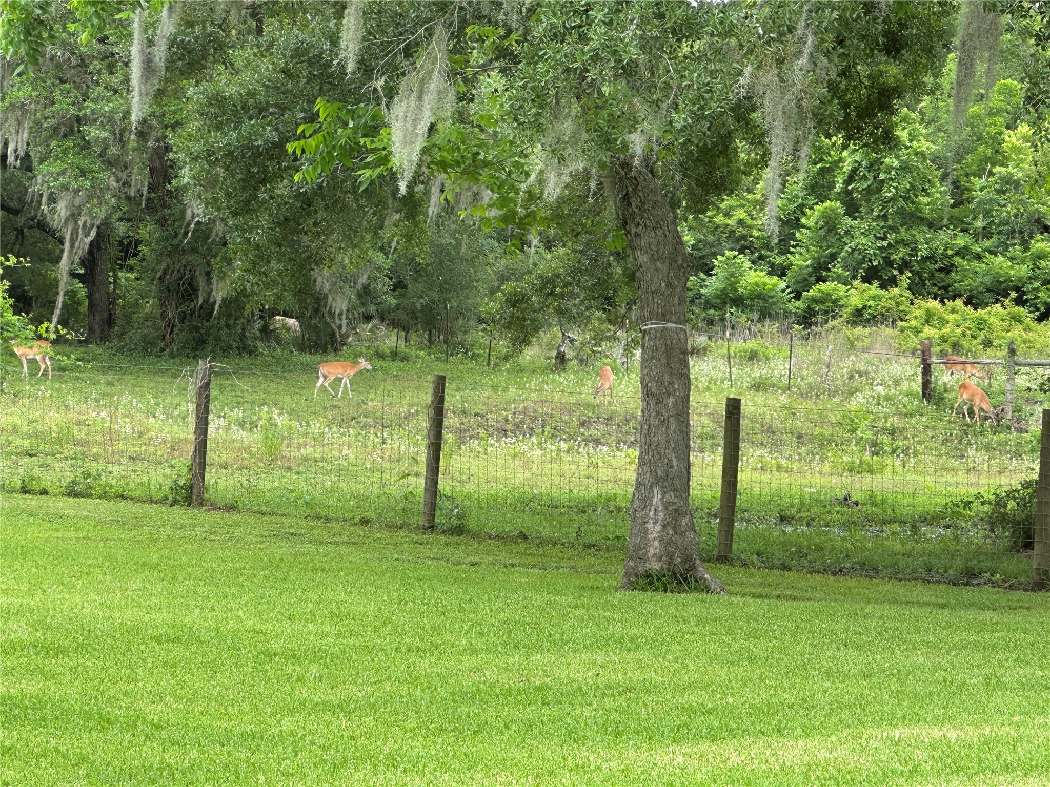 2668 FM 522 Road Brazoria, TX 77422 - Photo 12 of 17