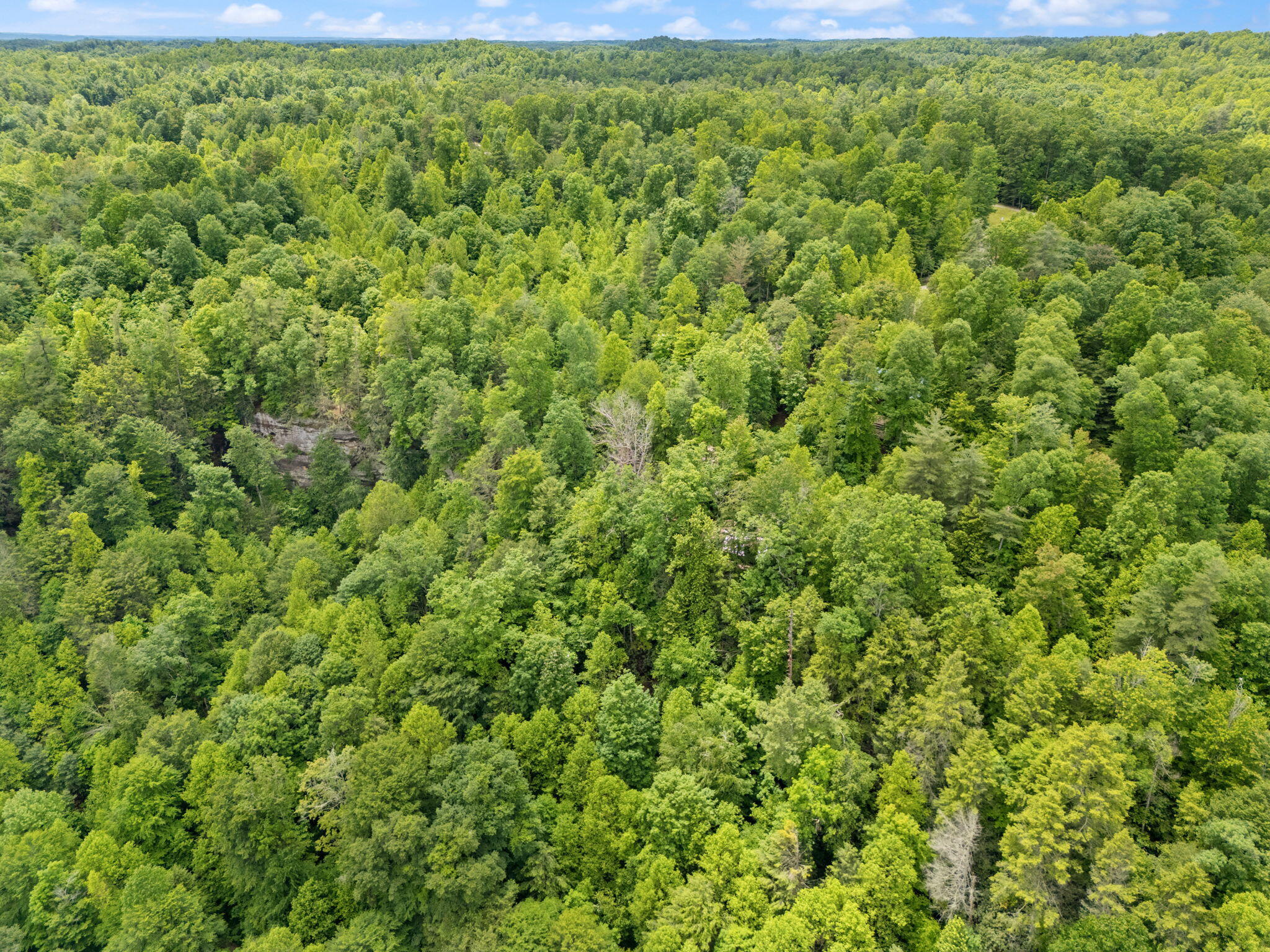 222 Muir Road Rogers, KY 41365 - Photo 37 of 41 57-web-or-mls-DJI_20250528132622_0045_D