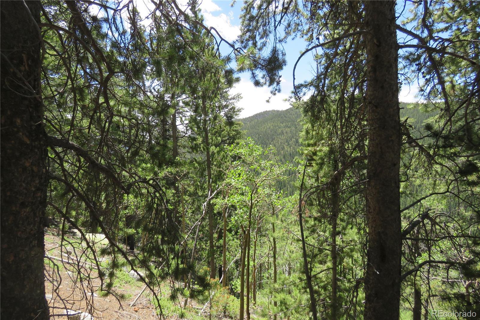 0 Vista Road Idaho Springs, CO 80452 - Photo 15 of 26 Gallery Image 15