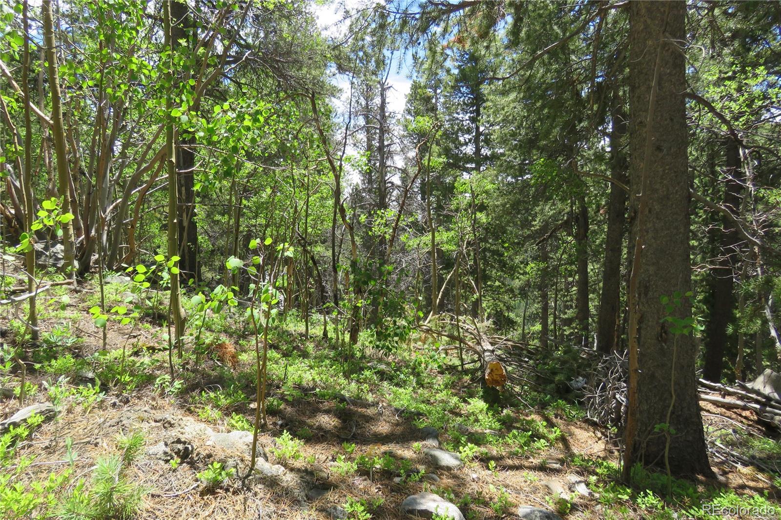 0 Vista Road Idaho Springs, CO 80452 - Photo 17 of 26 Gallery Image 17