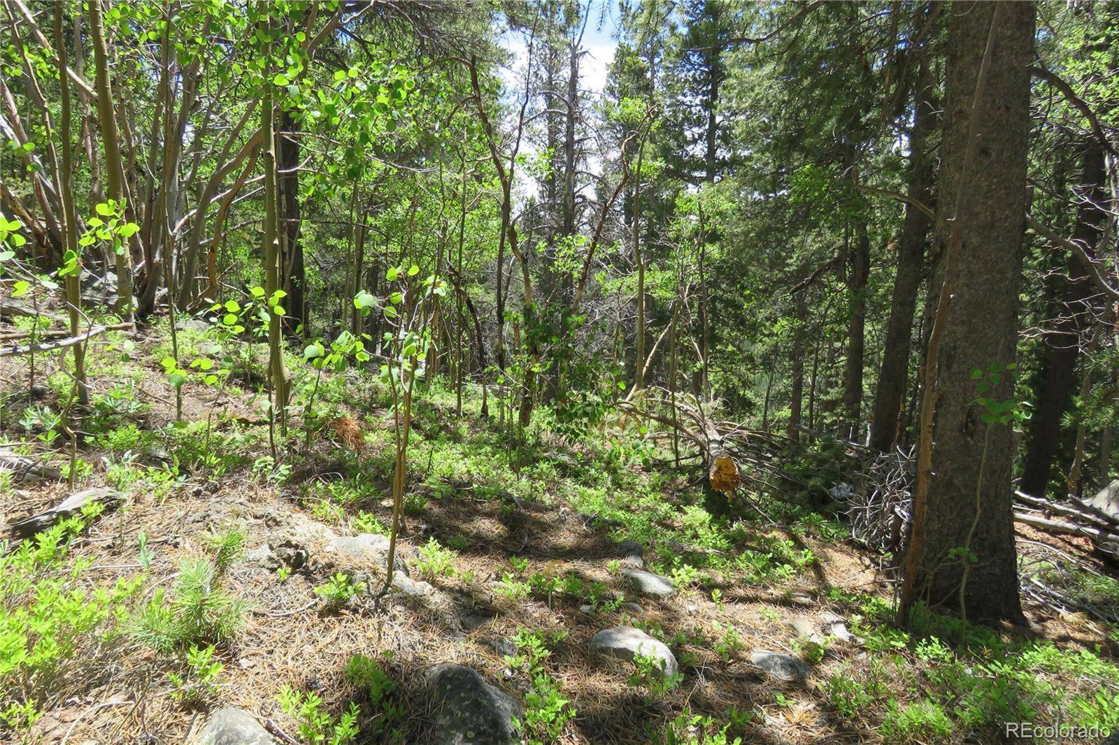 0 Vista Road Idaho Springs, CO 80452 - Photo 18 of 26 Gallery Image 18