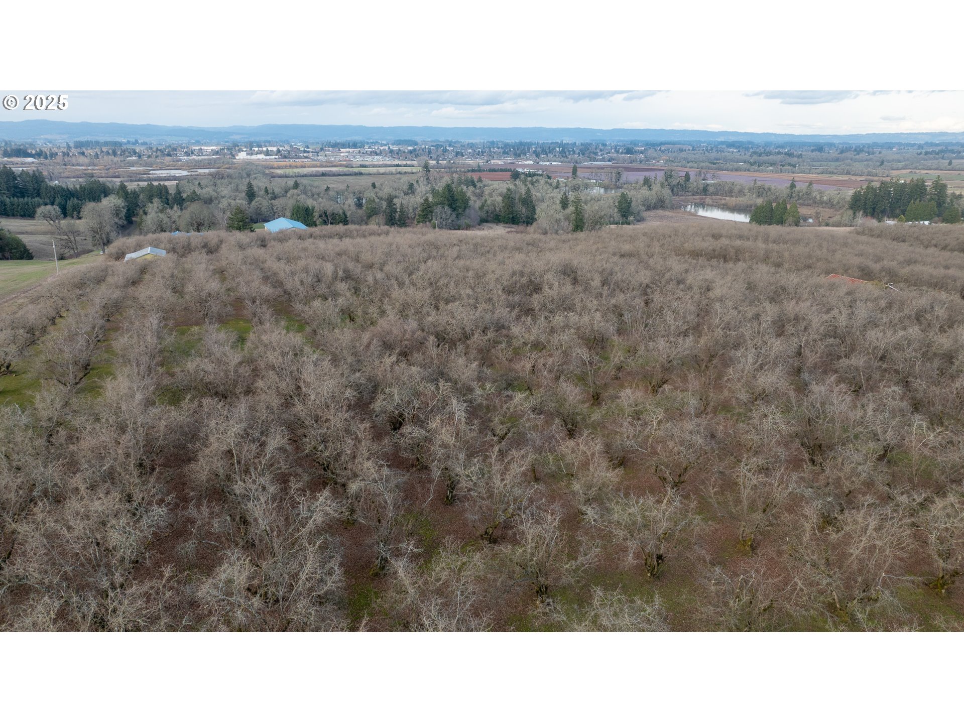 0 Southwest Blooming Fern Hill Road Cornelius, OR 97113 - Photo 1 of 15 Gallery Image 1