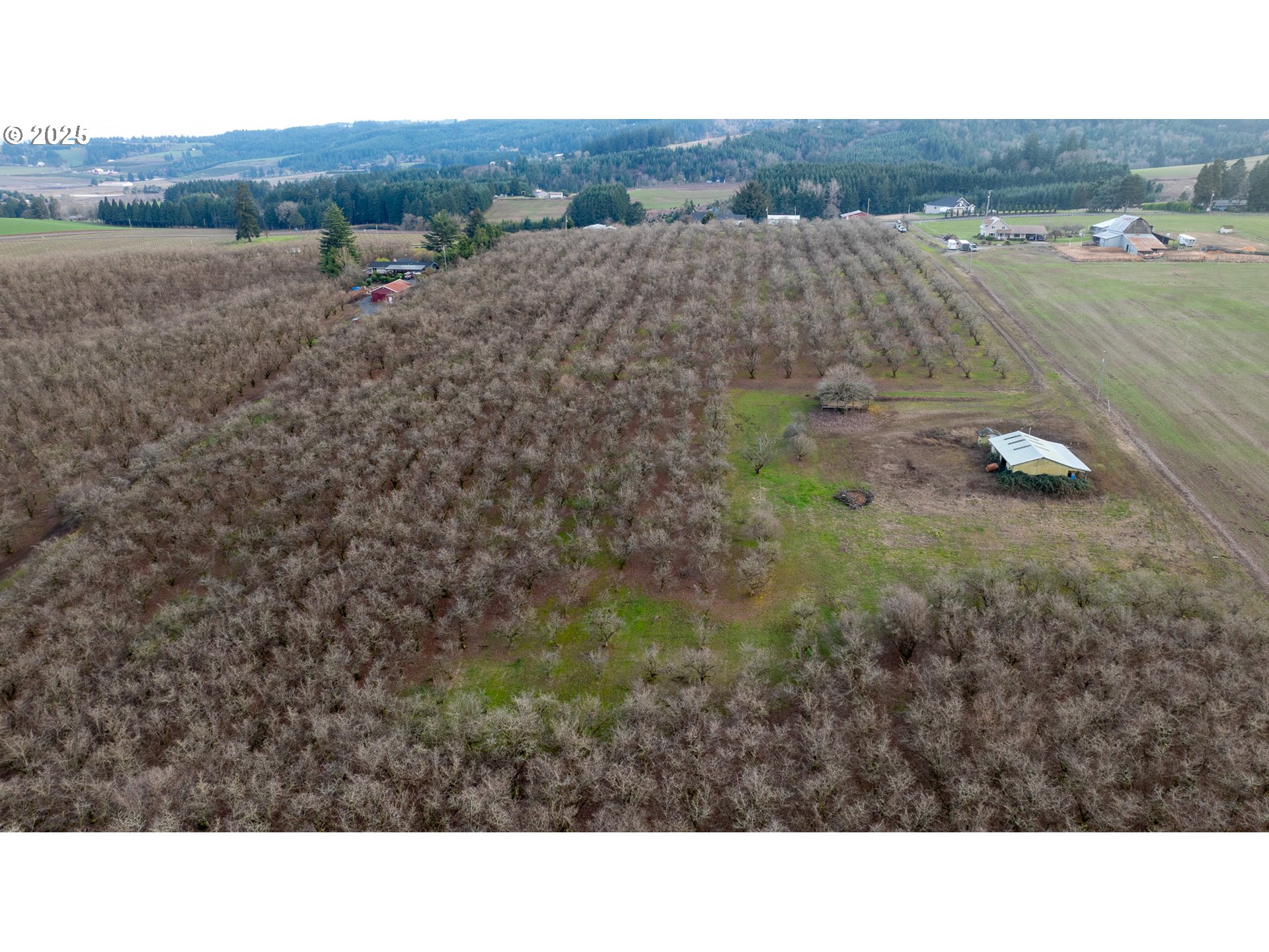 0 Southwest Blooming Fern Hill Road Cornelius, OR 97113 - Photo 11 of 15 Gallery Image 11