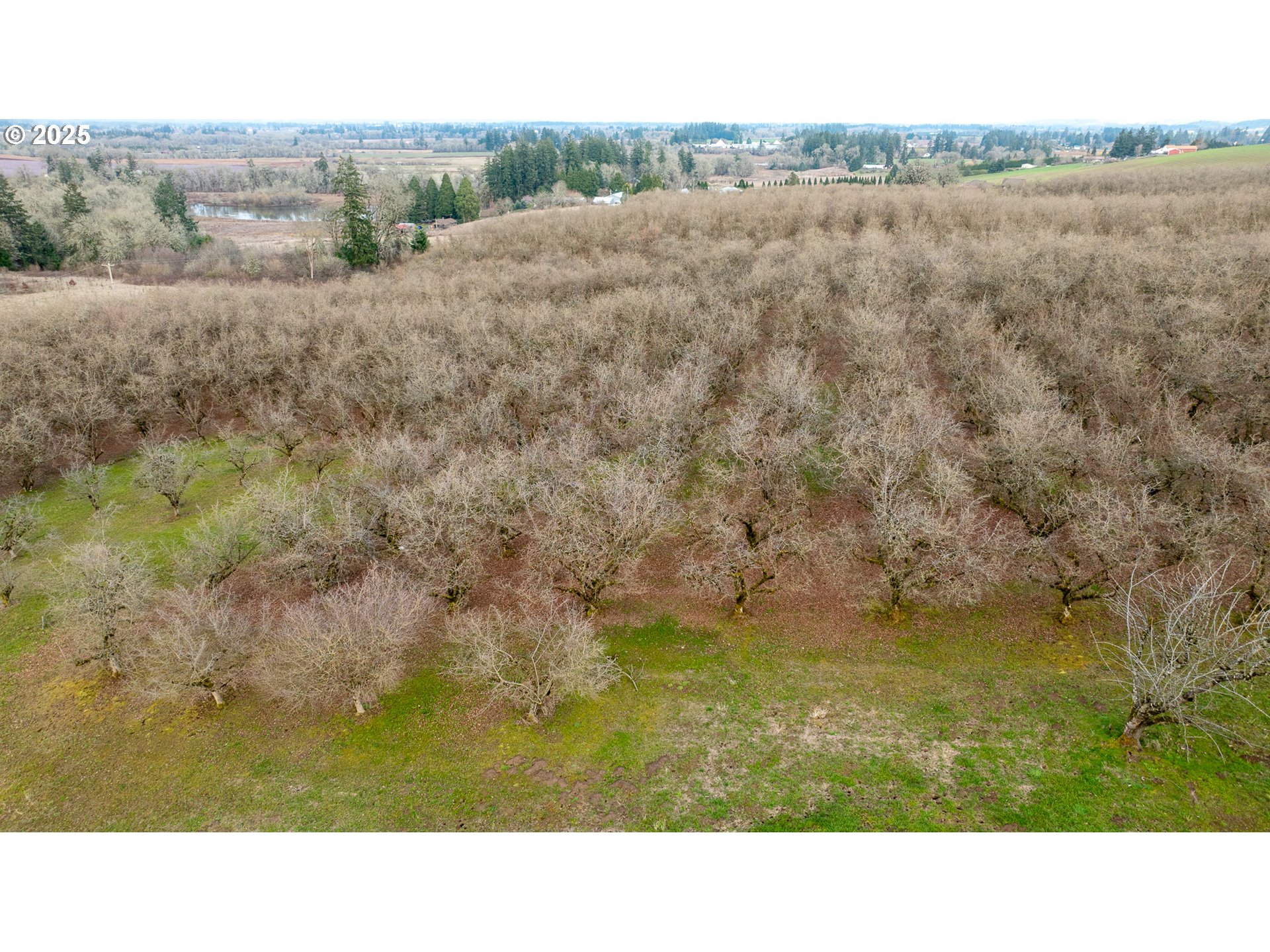 0 Southwest Blooming Fern Hill Road Cornelius, OR 97113 - Photo 12 of 15 Gallery Image 12