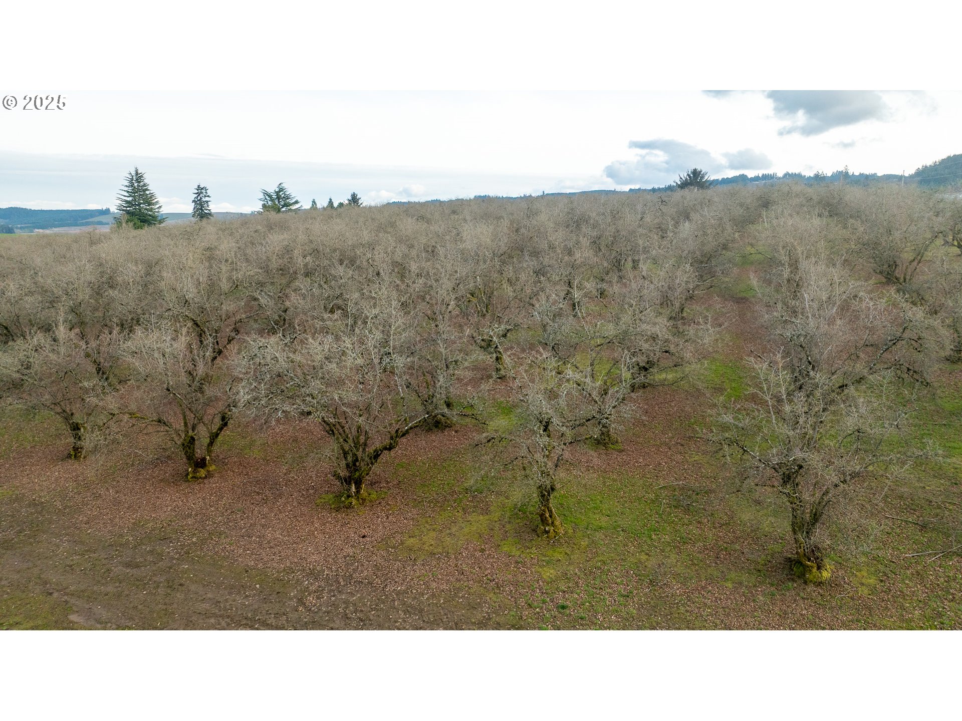 0 Southwest Blooming Fern Hill Road Cornelius, OR 97113 - Photo 13 of 15 Gallery Image 13