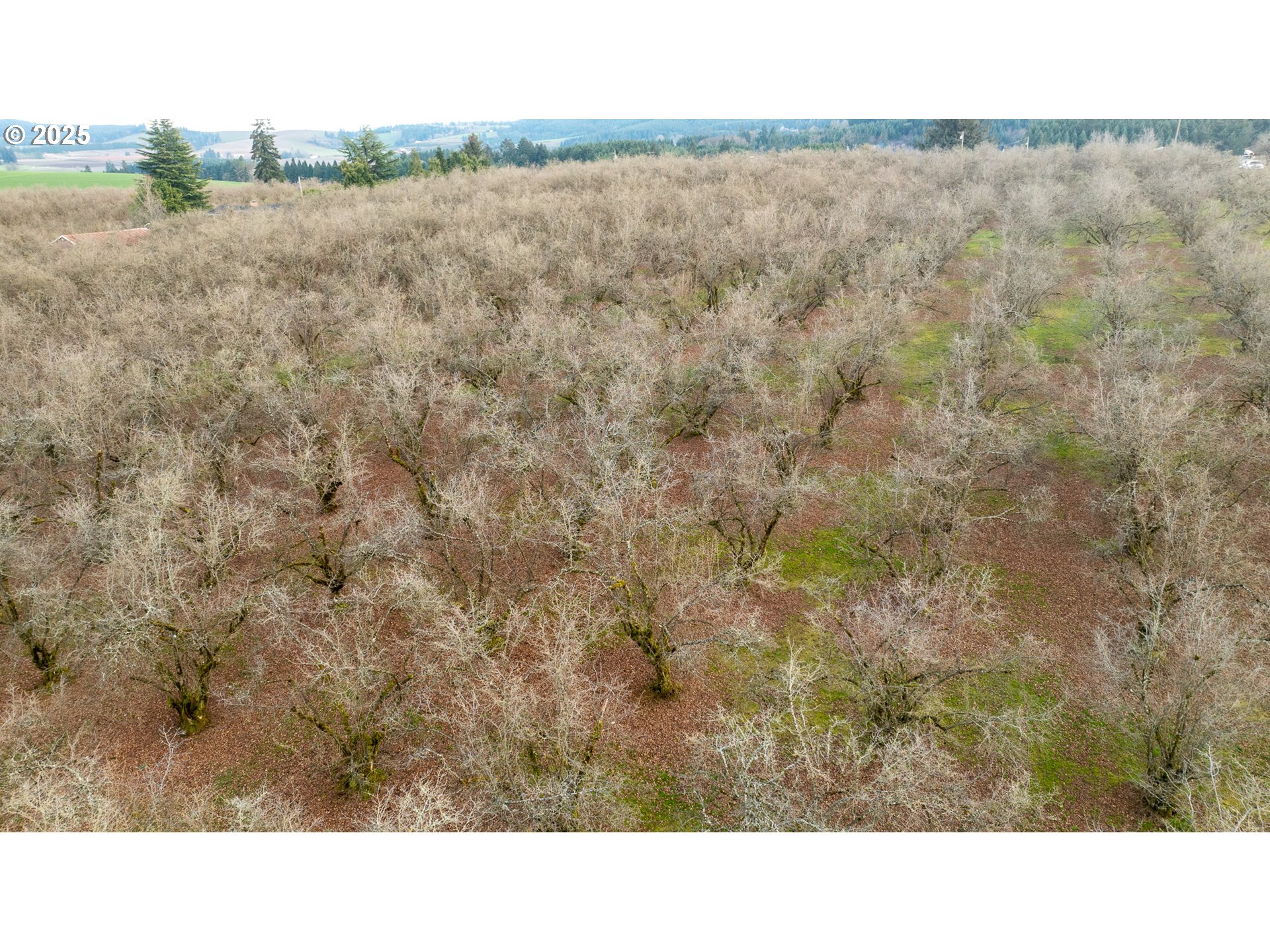 0 Southwest Blooming Fern Hill Road Cornelius, OR 97113 - Photo 14 of 15 Gallery Image 14