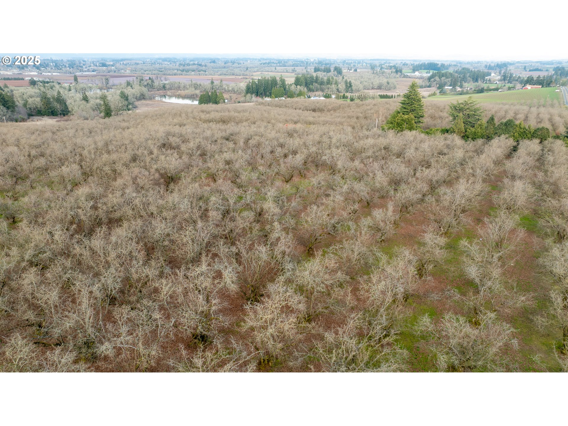 0 Southwest Blooming Fern Hill Road Cornelius, OR 97113 - Photo 2 of 15 Gallery Image 2