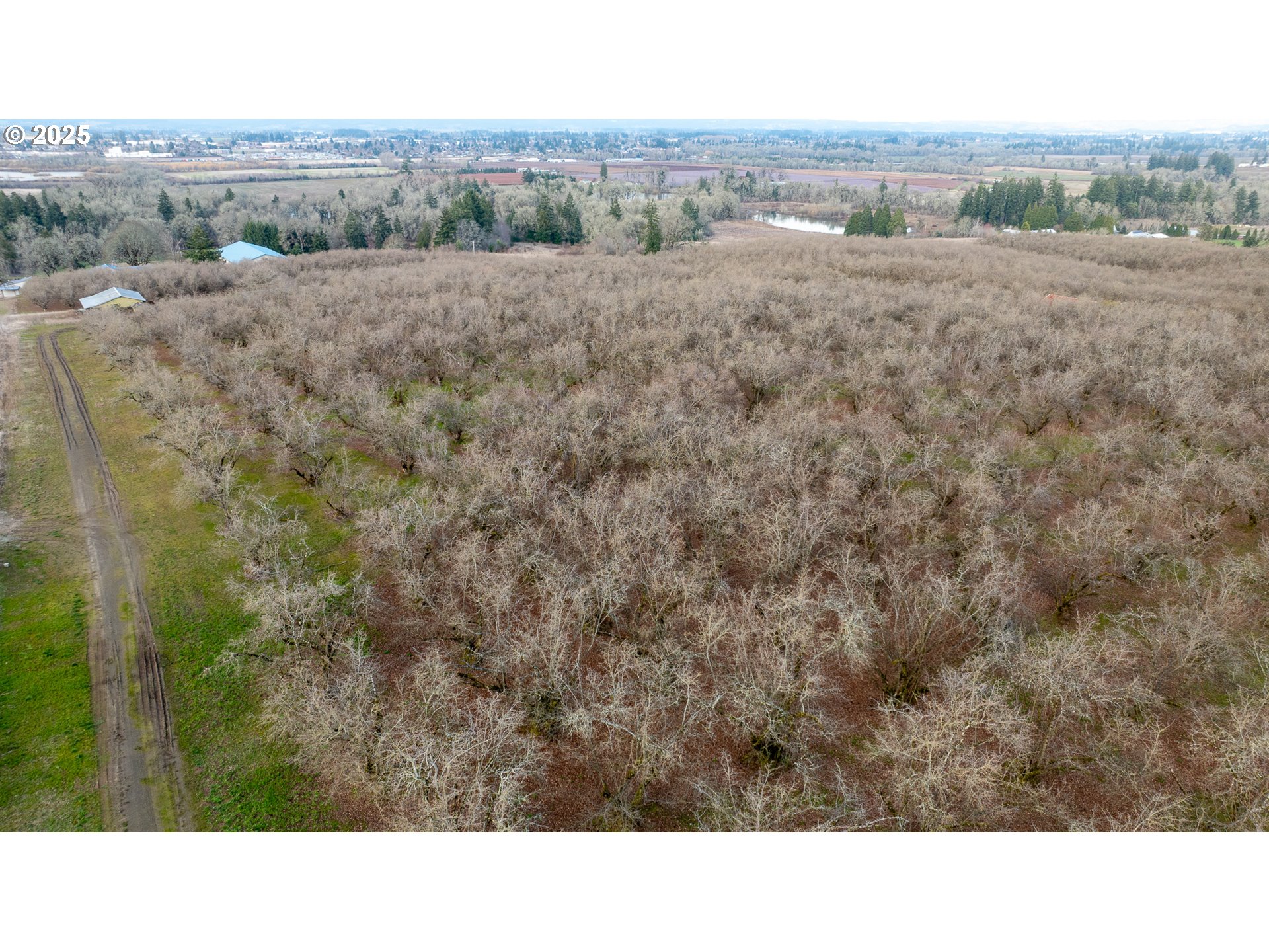 0 Southwest Blooming Fern Hill Road Cornelius, OR 97113 - Photo 3 of 15 Gallery Image 3
