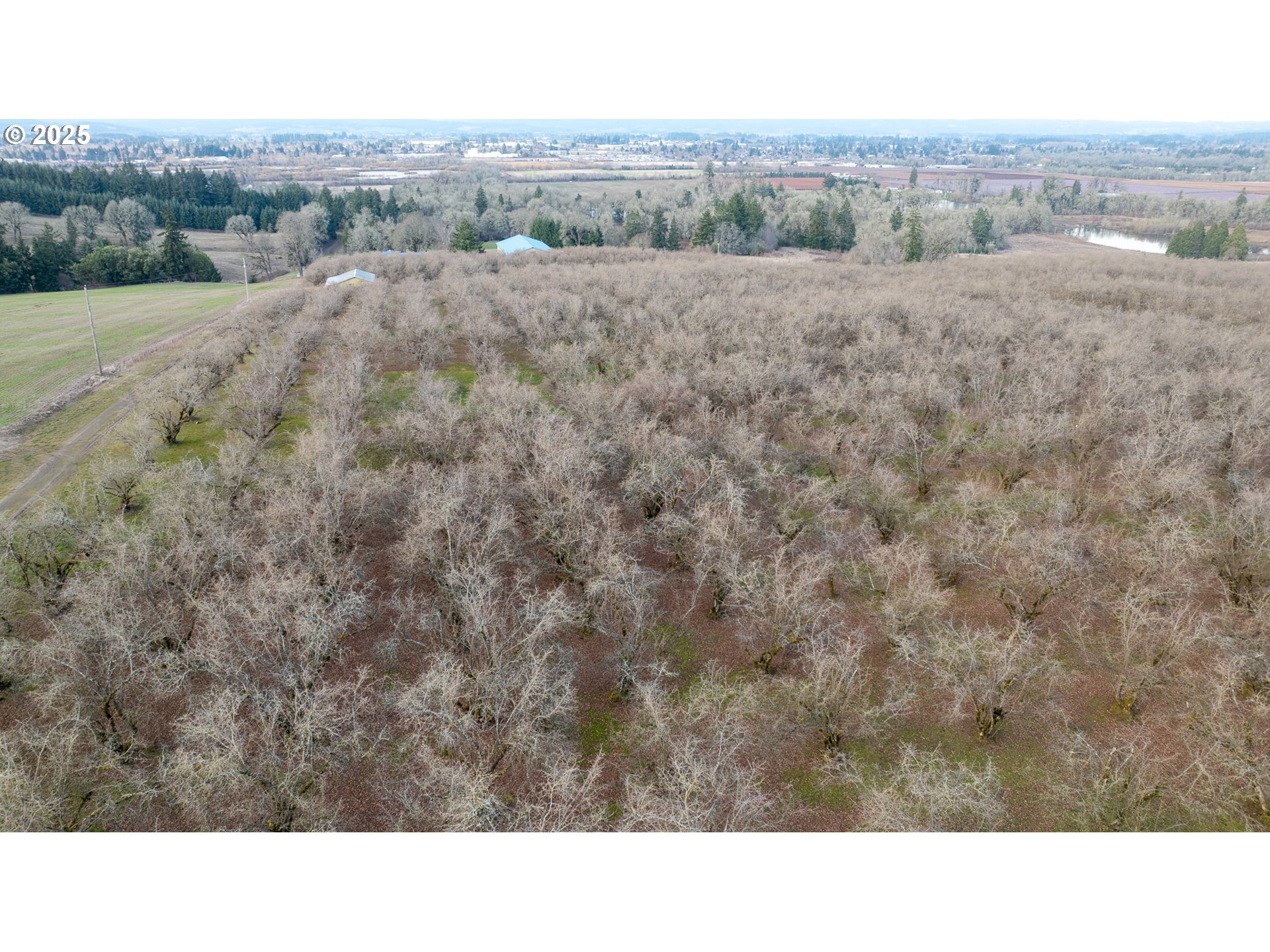0 Southwest Blooming Fern Hill Road Cornelius, OR 97113 - Photo 4 of 15 Gallery Image 4