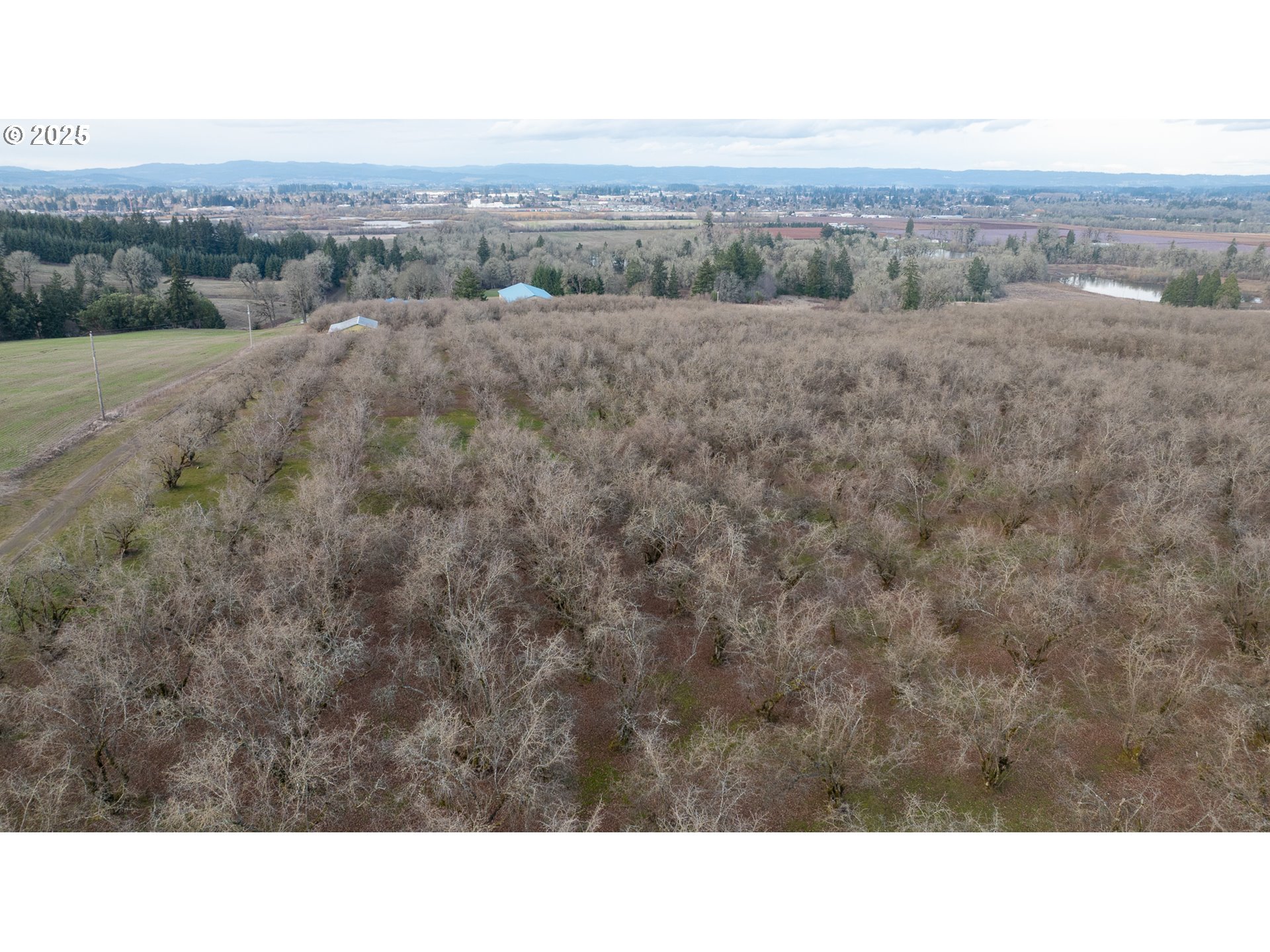 0 Southwest Blooming Fern Hill Road Cornelius, OR 97113 - Photo 5 of 15 Gallery Image 5