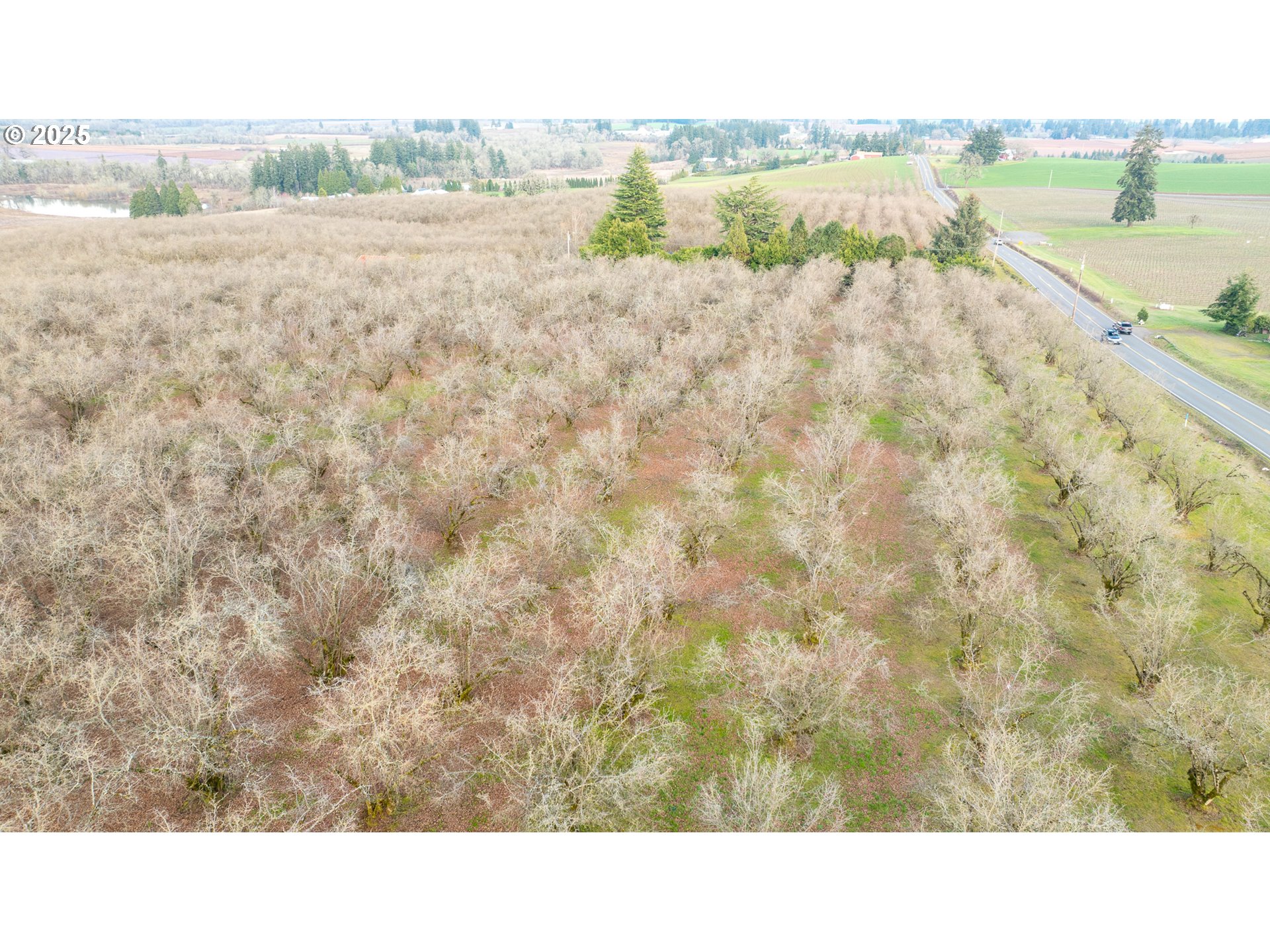0 Southwest Blooming Fern Hill Road Cornelius, OR 97113 - Photo 6 of 15 Gallery Image 6
