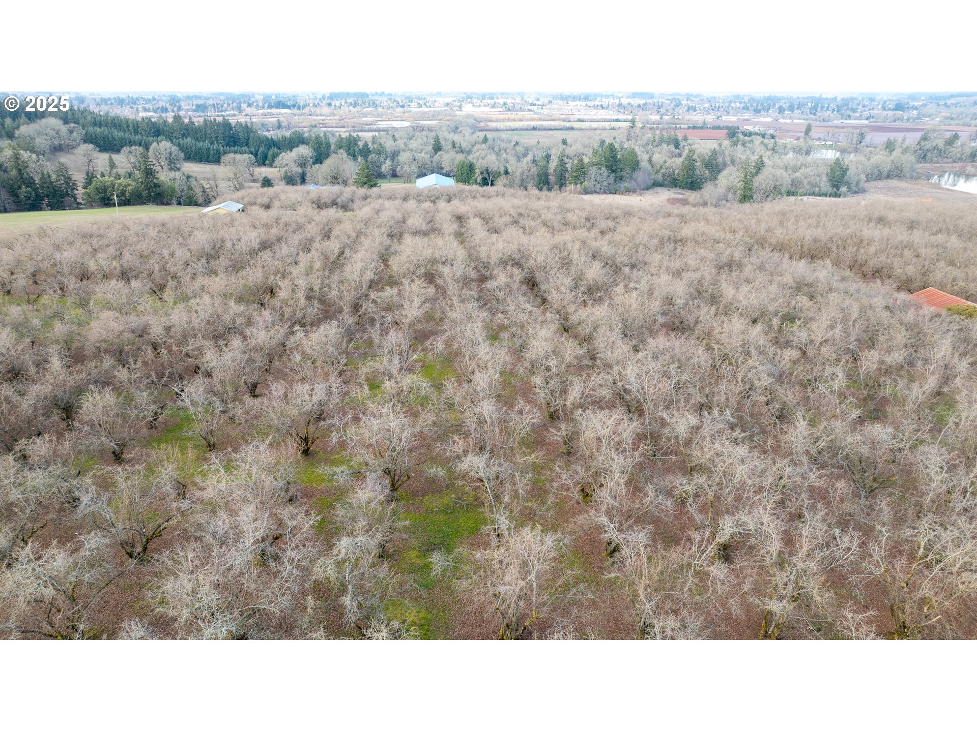 0 Southwest Blooming Fern Hill Road Cornelius, OR 97113 - Photo 7 of 15 Gallery Image 7