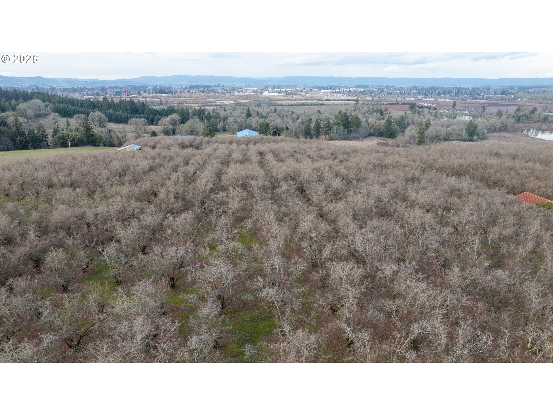 0 Southwest Blooming Fern Hill Road Cornelius, OR 97113 - Photo 8 of 15 Gallery Image 8