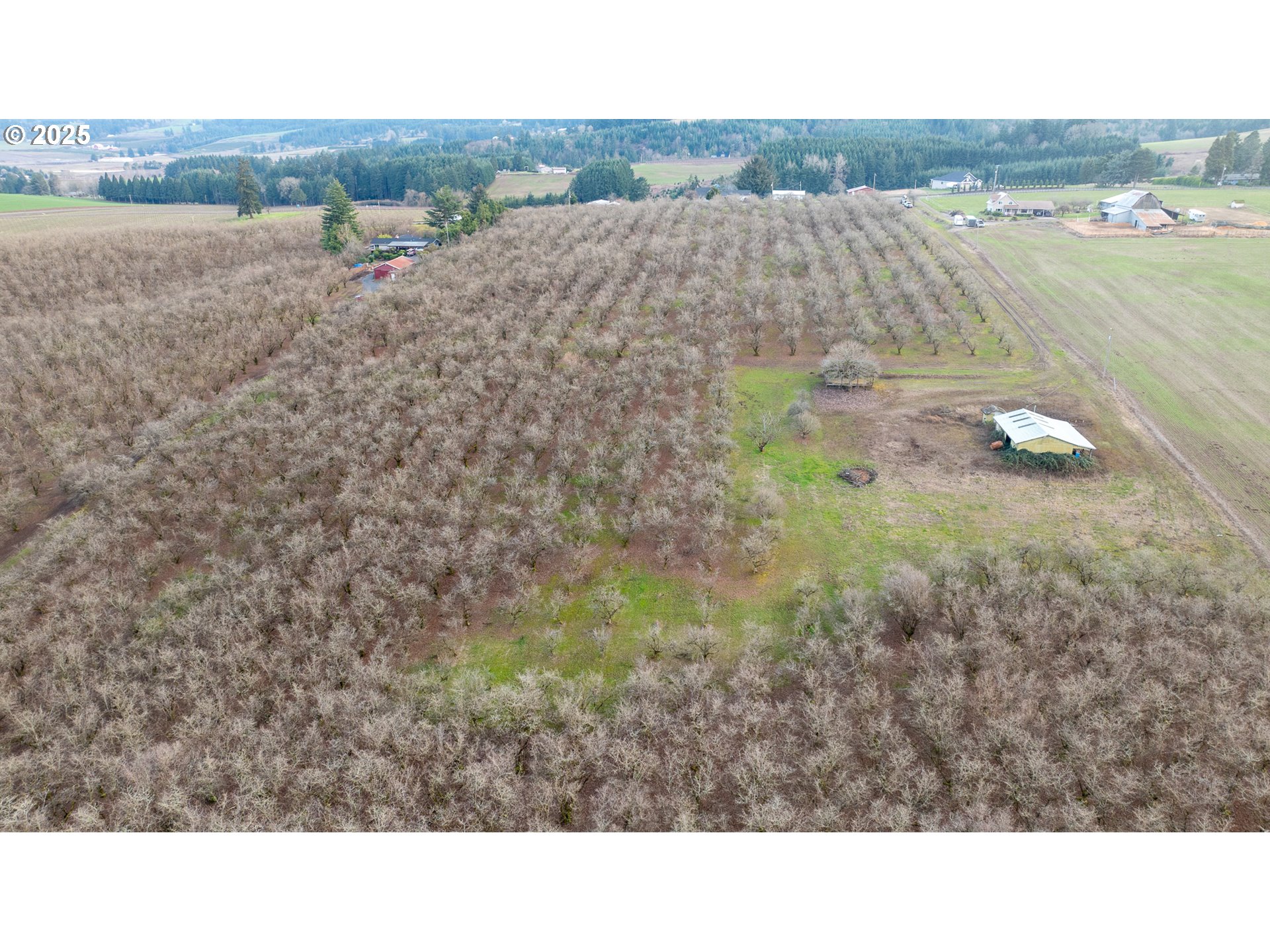 0 Southwest Blooming Fern Hill Road Cornelius, OR 97113 - Photo 10 of 15 Gallery Image 10