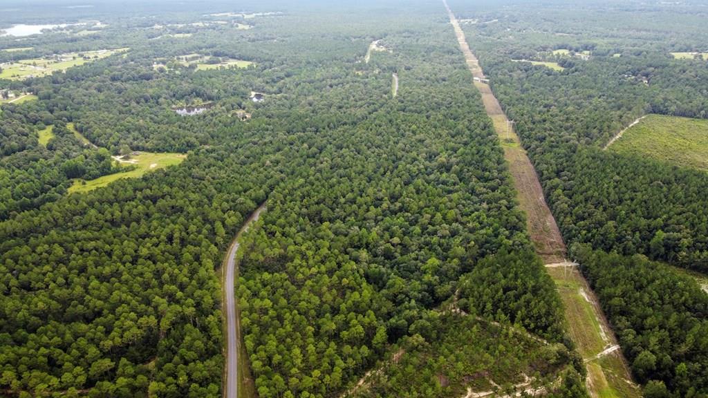 0 Silver Run-Progress Road Perkinston, MS 39573 - Photo 1 of 1 Main View