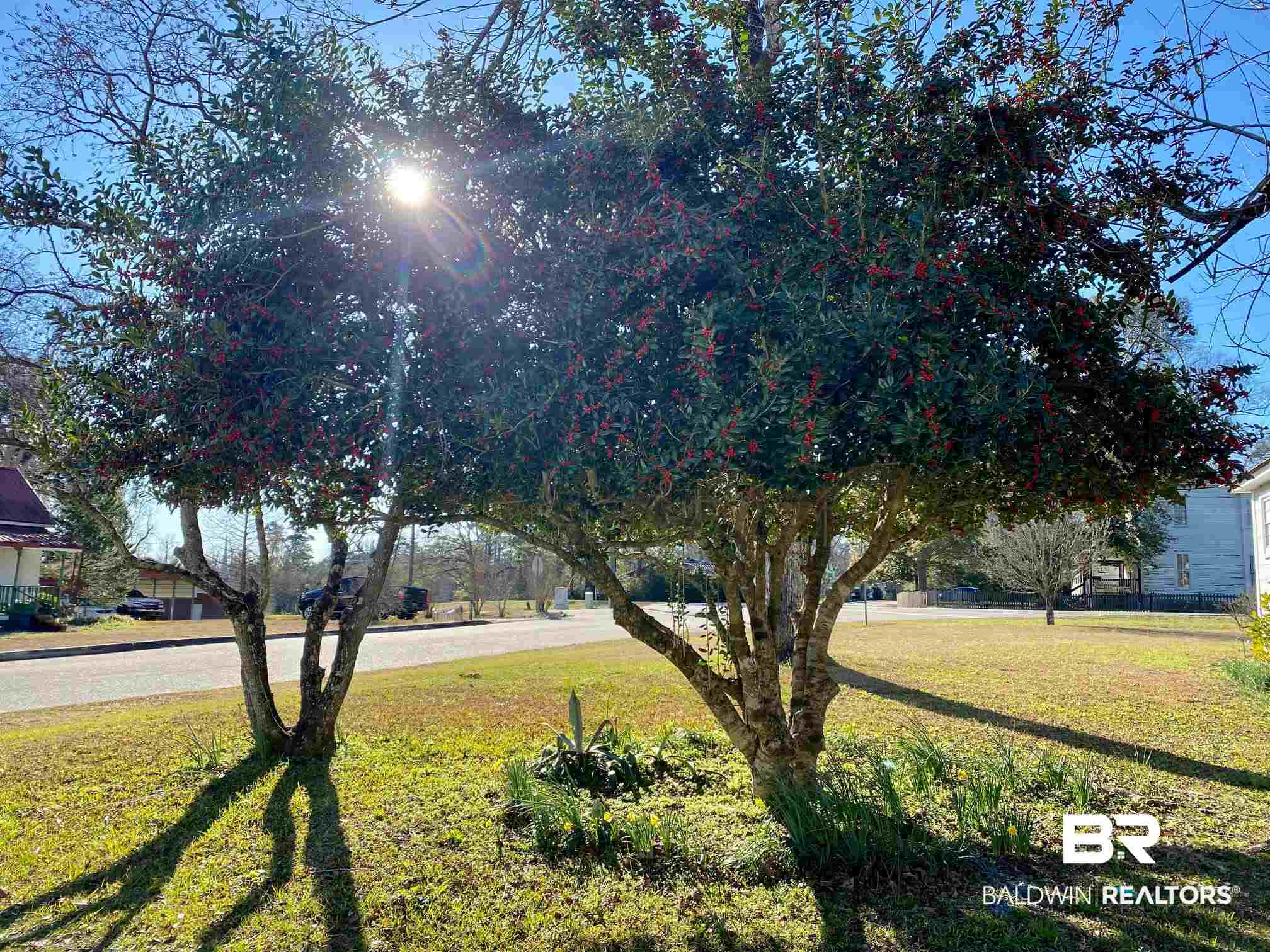 411 Alco Drive Brewton, AL 36426 - Photo 13 of 14