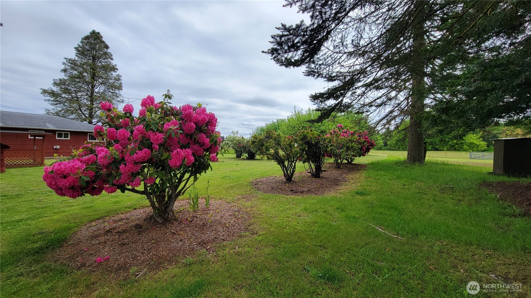 1296 Highway 12 Chehalis, WA 98532 - Photo 33 of 33 a view of a garden with flowers and trees