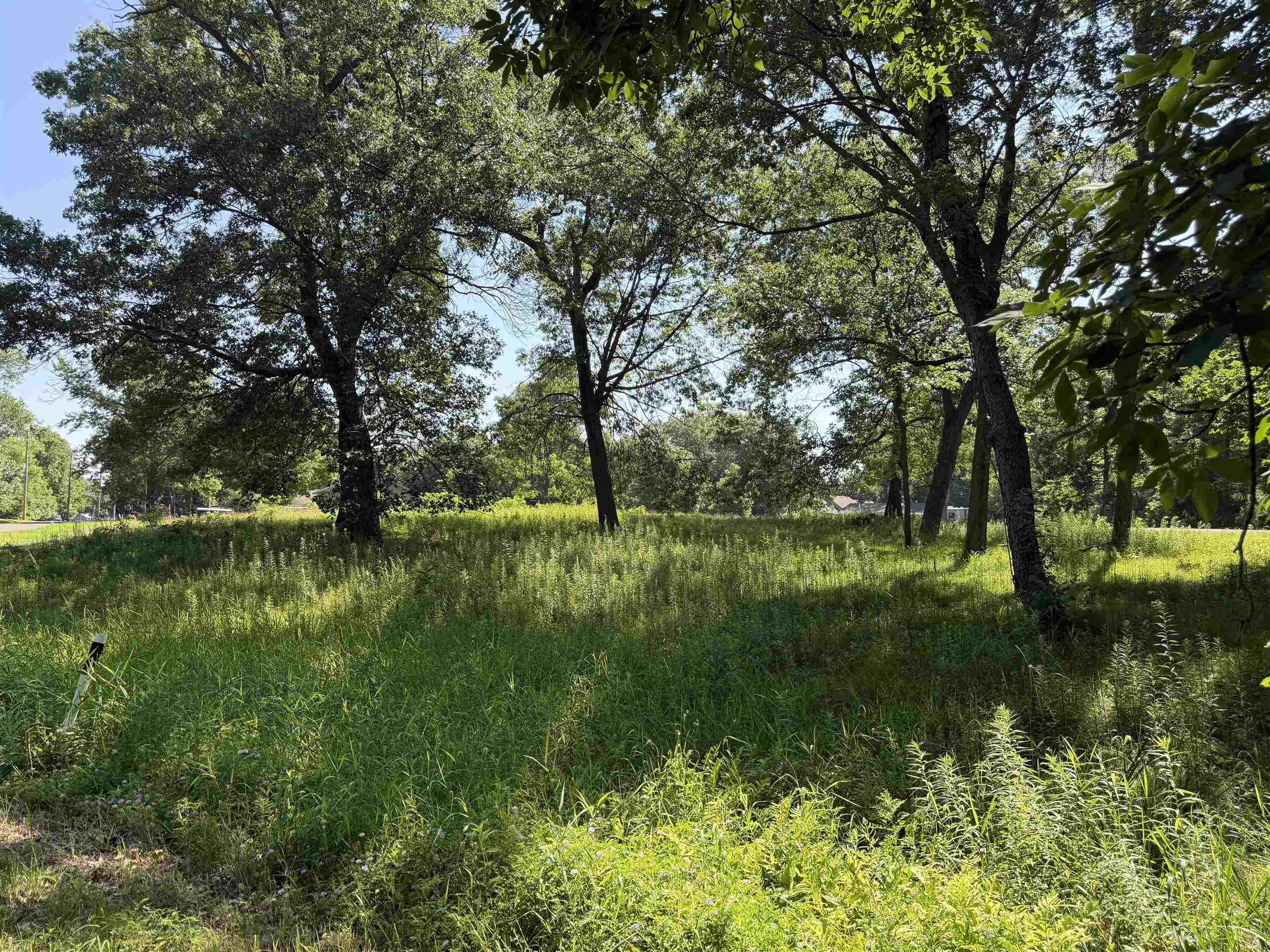 Lot 1-csm 6359 Bay Lodi, WI 53555 - Photo 2 of 16