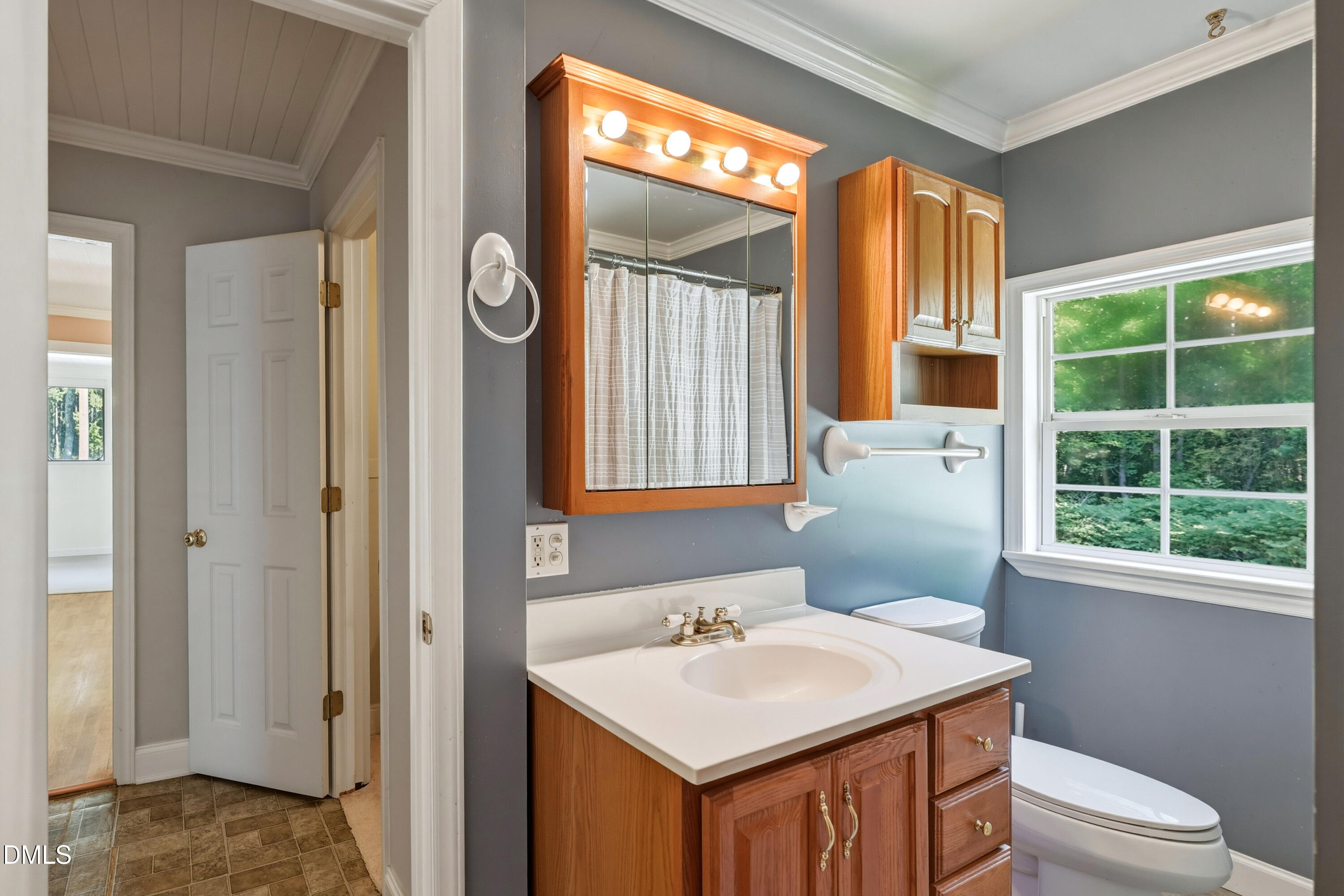50 Robert Sledge Road Spring Hope, NC 27882 - Photo 15 of 50 a bathroom with a sink a toilet and a window