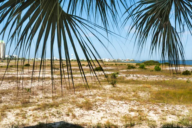 a view of outdoor space and swimming pool