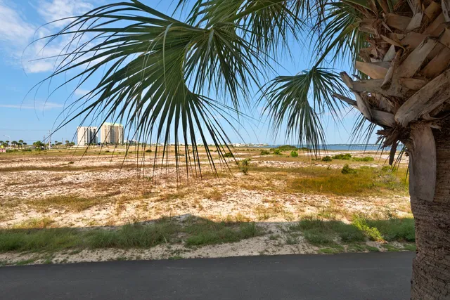 a view of a swimming pool with a lounge chairs