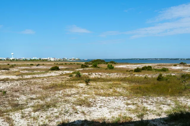 a view of a swimming pool and an outdoor space