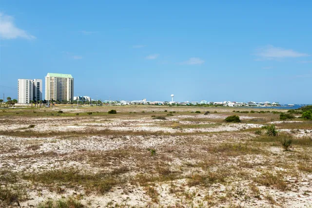 a view of a field with an ocean