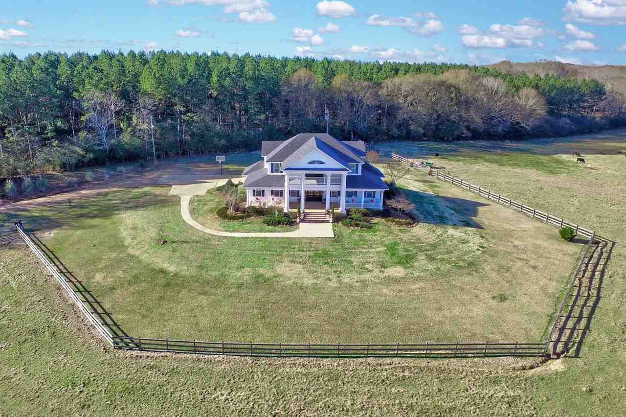 112 Cole Road Puckett, MS 39114 - Photo 3 of 50 Photo 3