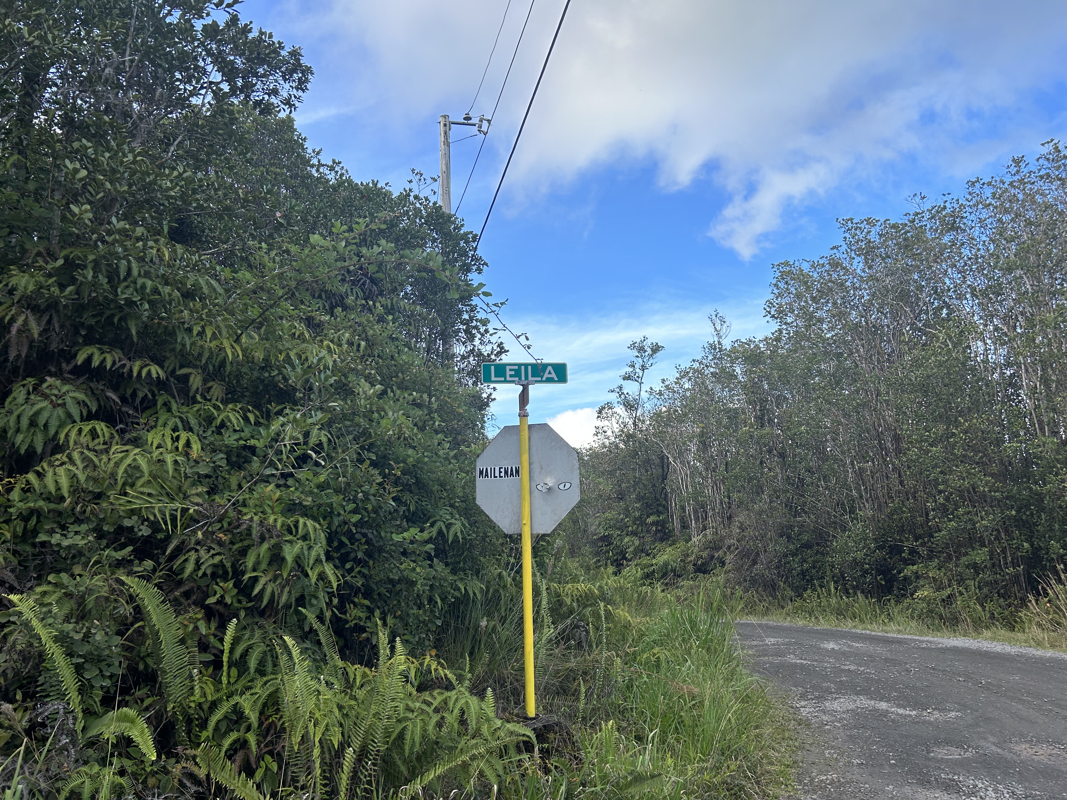 20 Mailenani Road Mountain View, HI 96771 - Photo 5 of 8 a view of a street with a building in the background