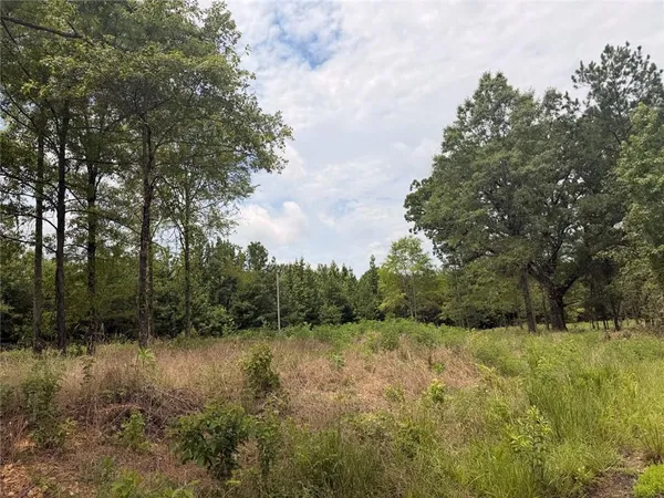 $49,900 | Lot 60 Co Road, Piedmont, AL 36272