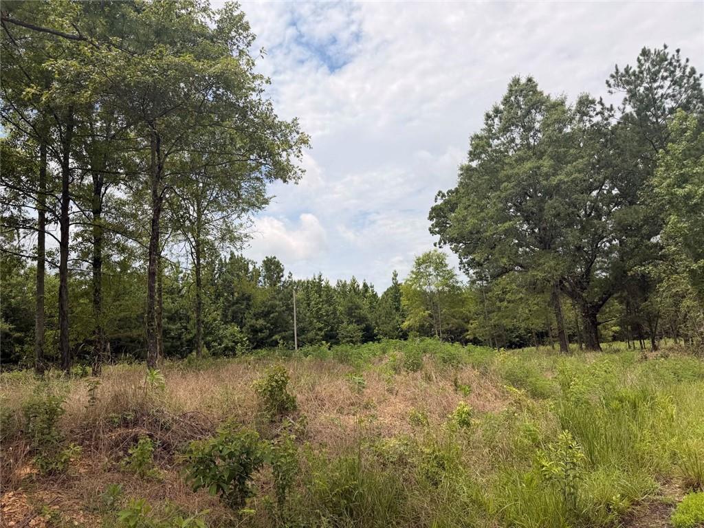 Lot 60 Co Road Piedmont, AL 36272 - Photo 1 of 2