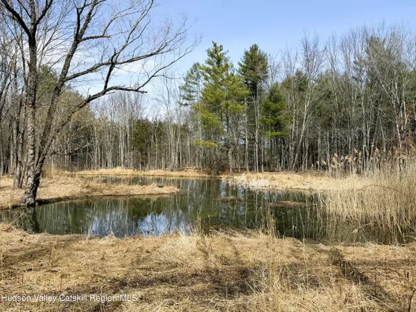 $280,000 | Tbd Frank Hitchcock Road, Cairo, NY 12413