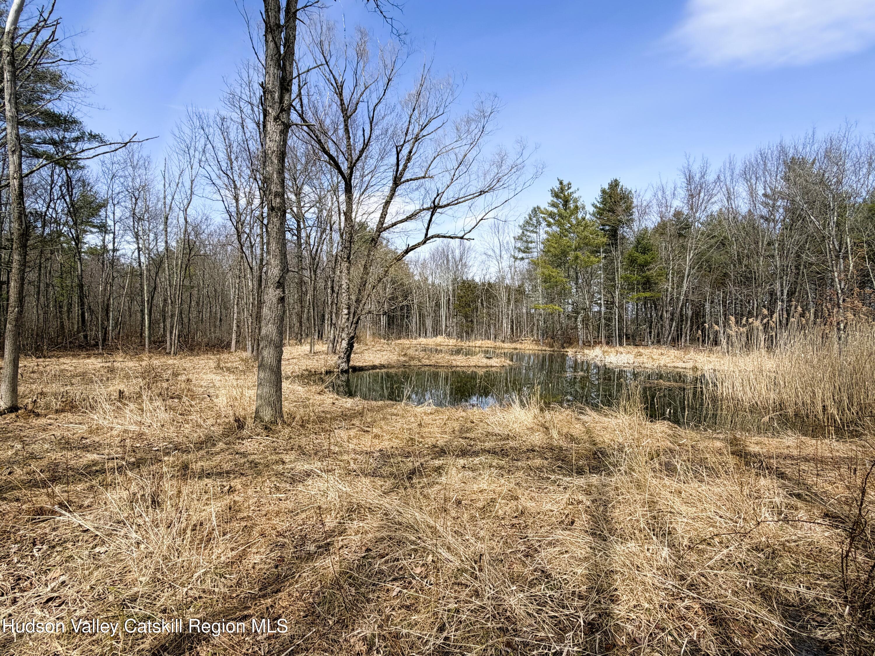 Tbd Frank Hitchcock Road Cairo, NY 12413 - Photo 2 of 9 Pond 3