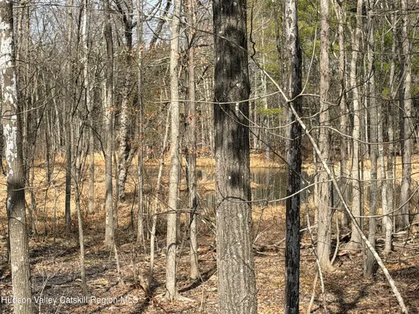 $280,000 | Tbd Frank Hitchcock Road, Cairo, NY 12413