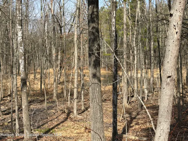 $280,000 | Tbd Frank Hitchcock Road, Cairo, NY 12413