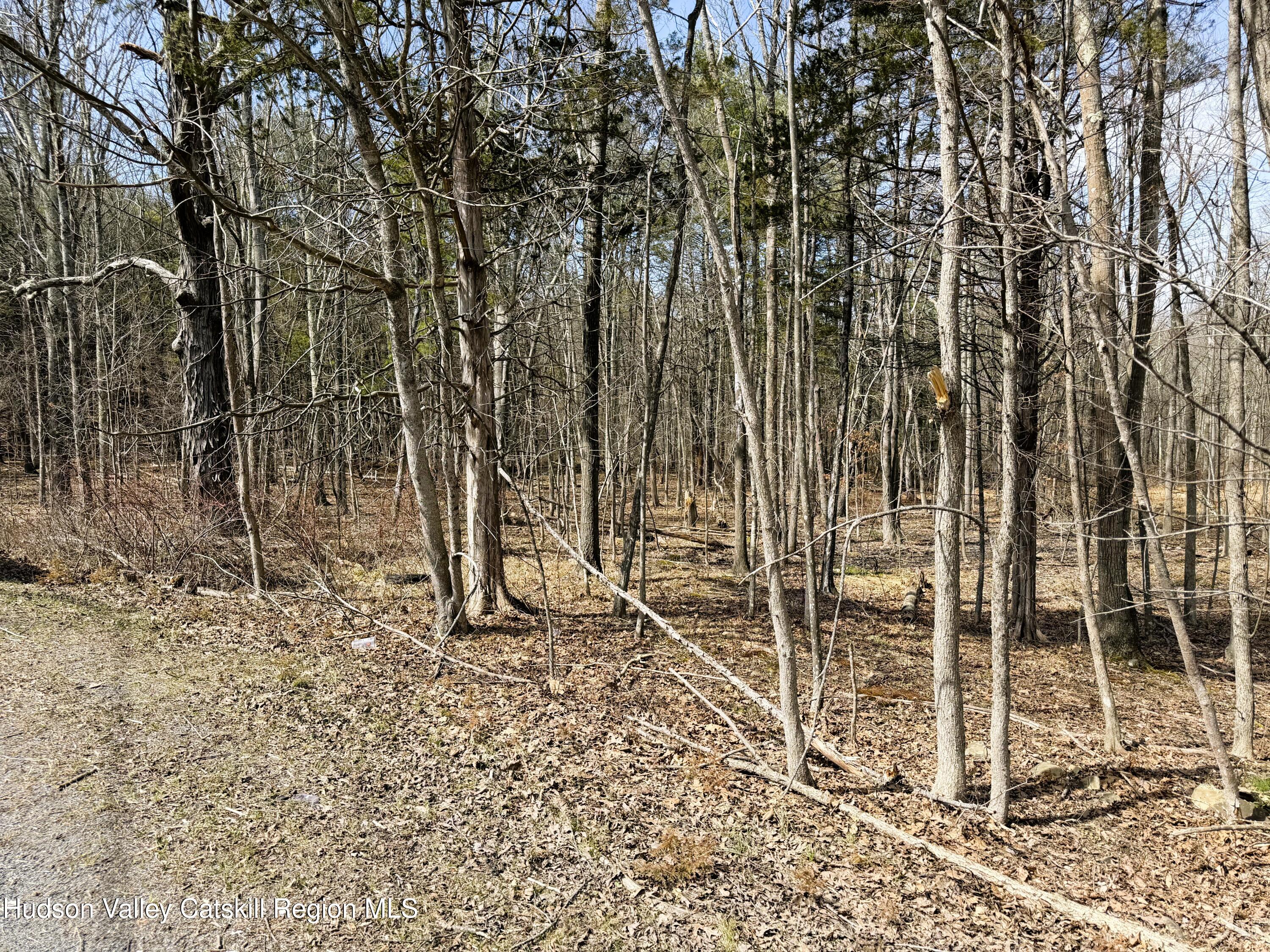 Tbd Frank Hitchcock Road Cairo, NY 12413 - Photo 5 of 9 2