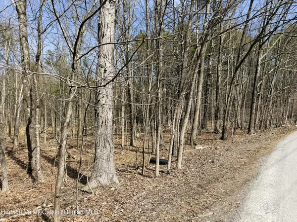 $280,000 | Tbd Frank Hitchcock Road, Cairo, NY 12413
