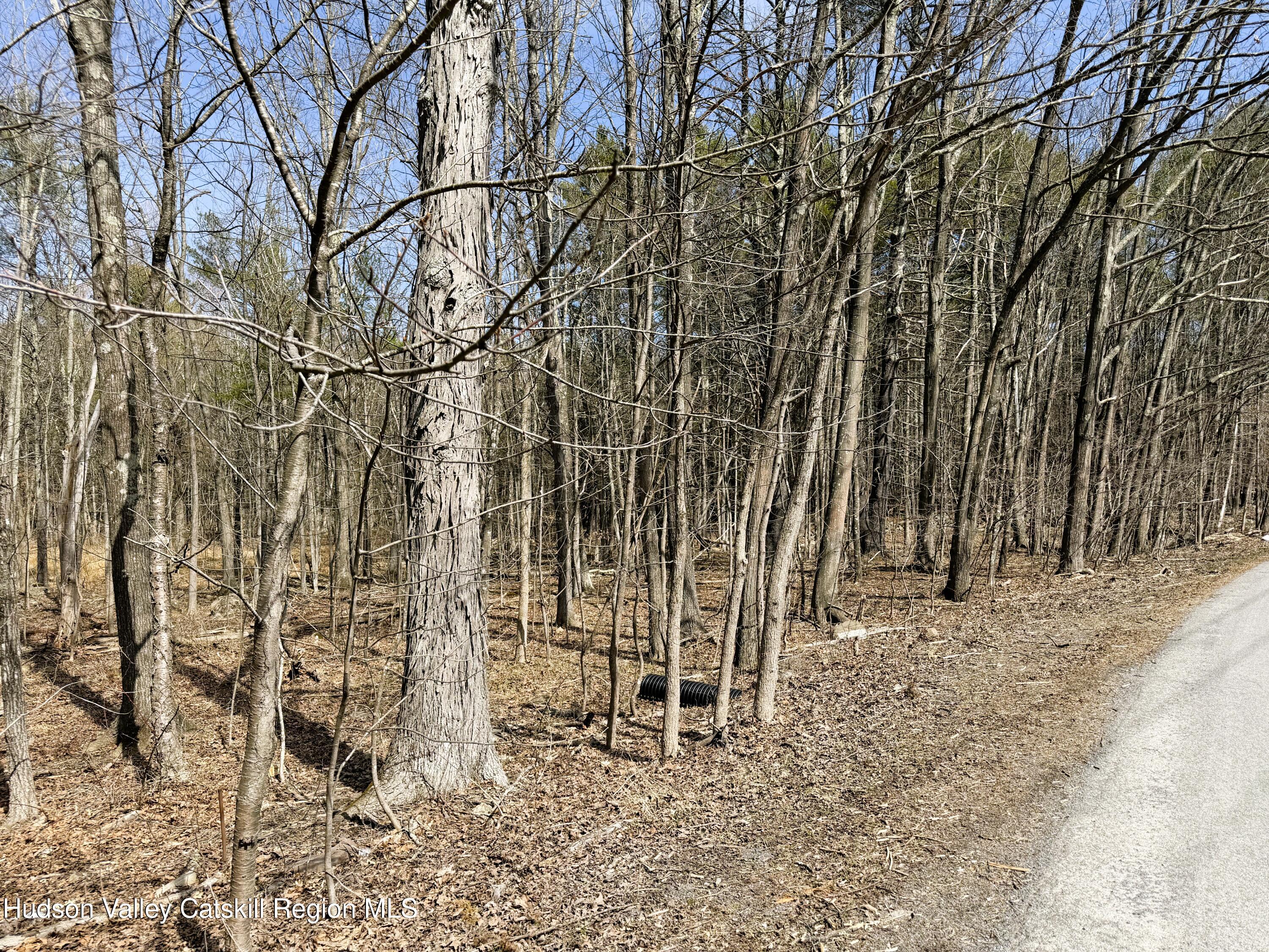 Tbd Frank Hitchcock Road Cairo, NY 12413 - Photo 6 of 9 1