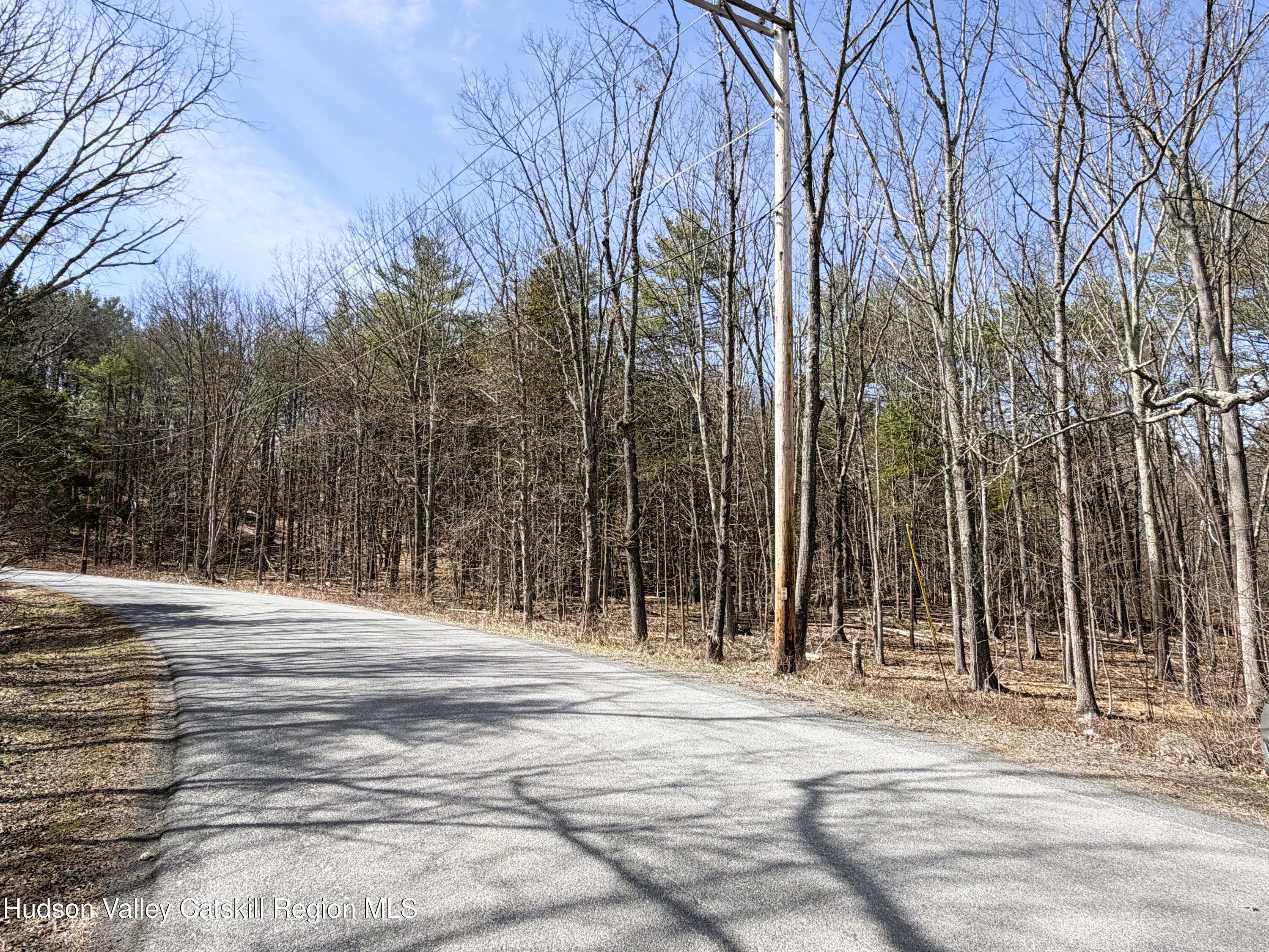 Tbd Frank Hitchcock Road Cairo, NY 12413 - Photo 7 of 9 Road 2
