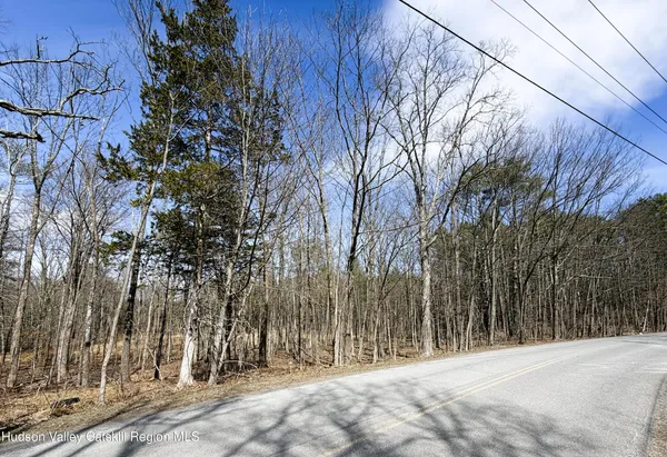 $280,000 | Tbd Frank Hitchcock Road, Cairo, NY 12413