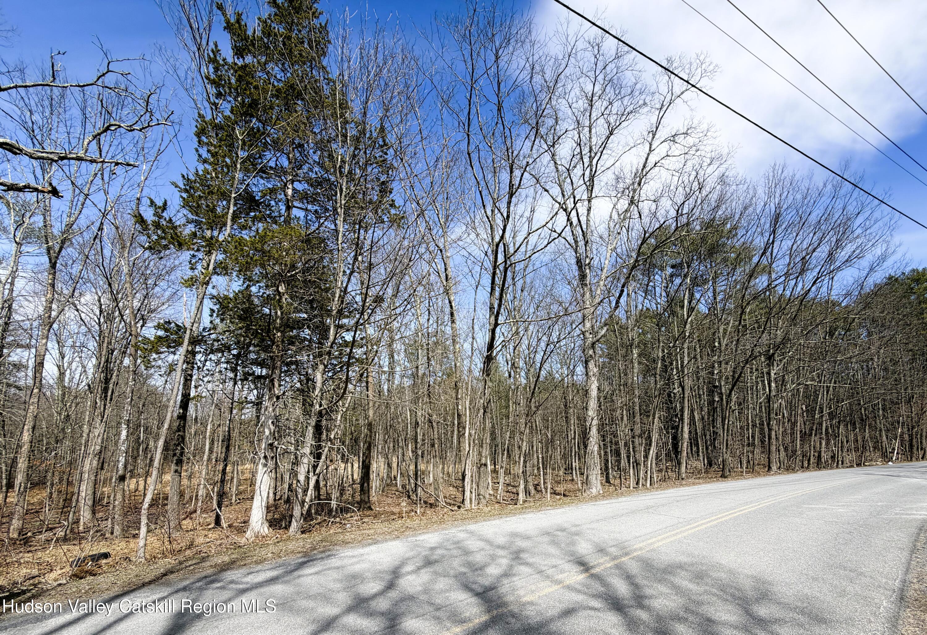 Tbd Frank Hitchcock Road Cairo, NY 12413 - Photo 8 of 9 Road