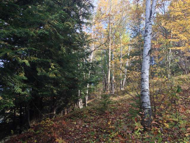 Lot 3 Bear Paw Road Rhinelander, WI 54501 - Photo 6 of 15 Gallery Image 6