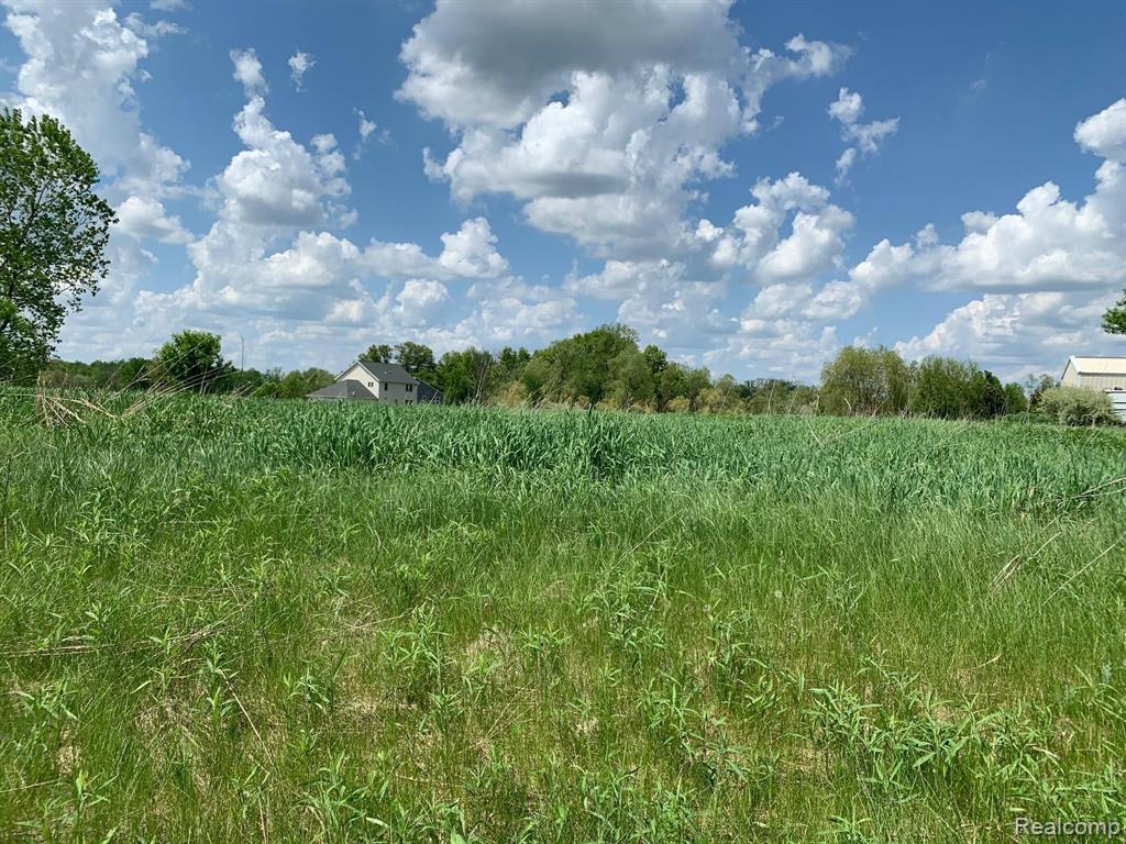 Lot 12 Doves Point Brighton, MI 48114 - Photo 1 of 4
