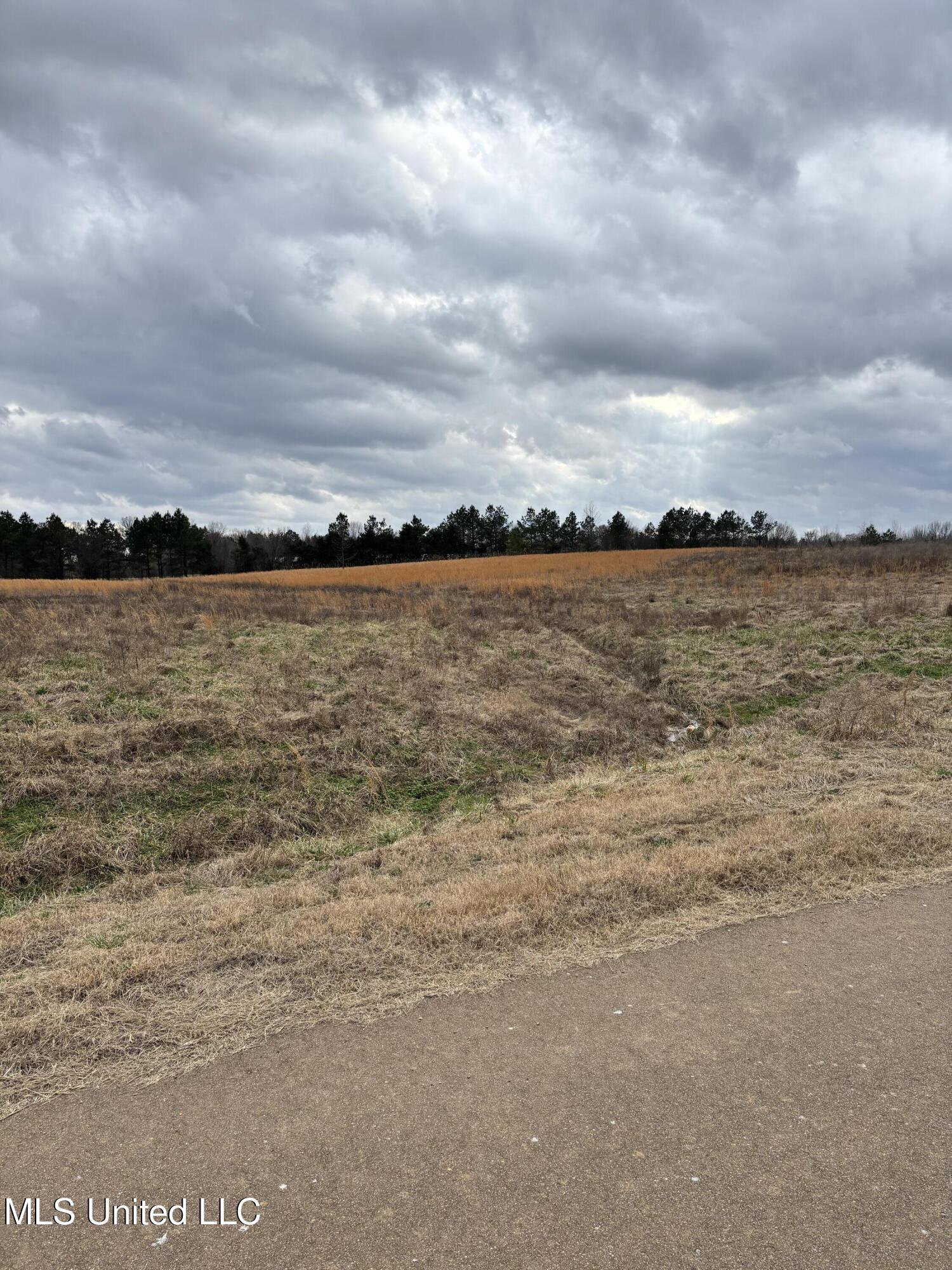 Lot 3 Red Oaks Lane Red Banks, MS 38661 - Photo 7 of 19 IMG_0581