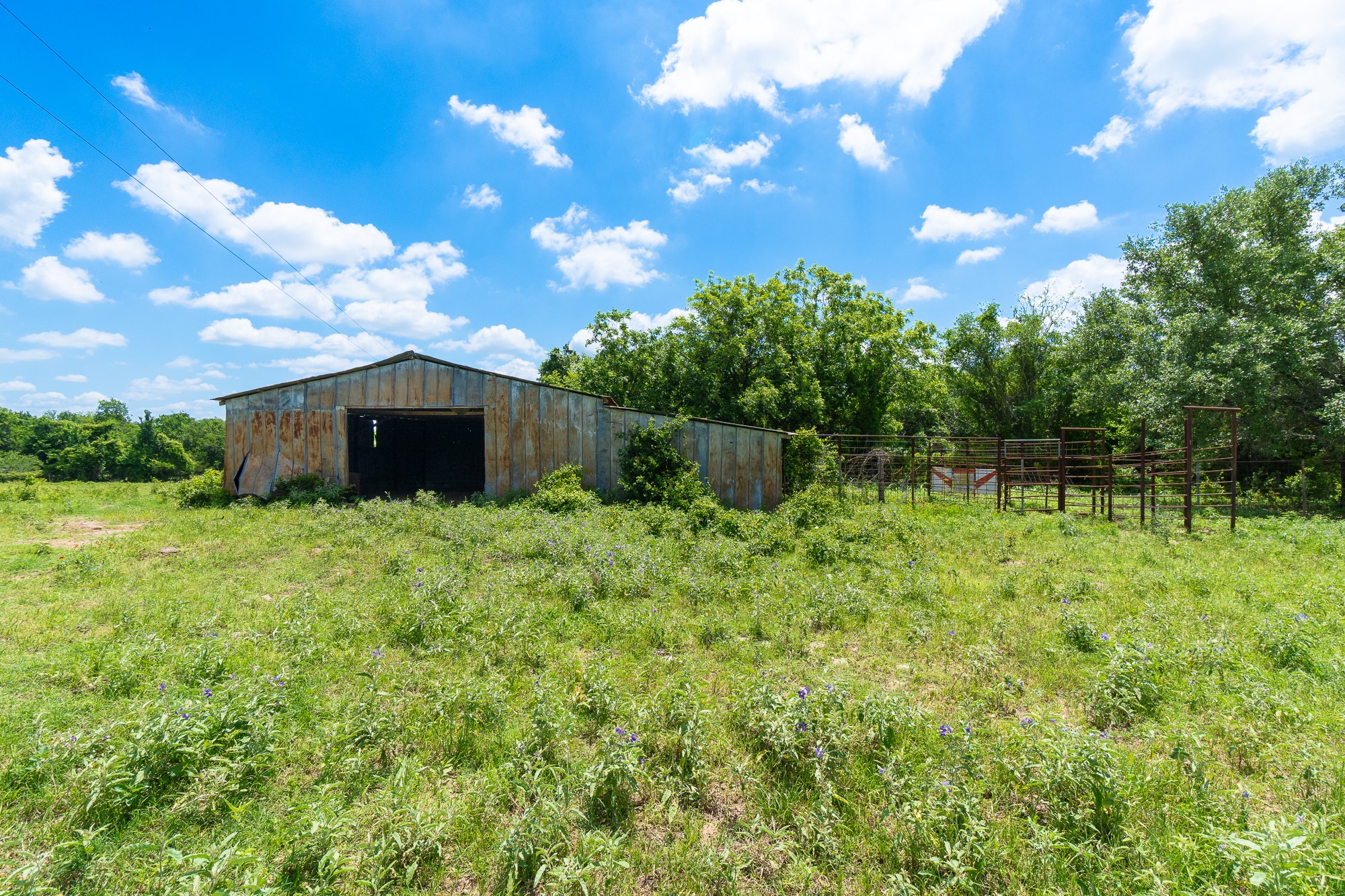 5018 Wolters Road Schulenburg, TX 78956 - Photo 30 of 39 a backyard of a house with lots of green space